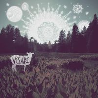 Son Feci Bisiklet - Vesaire