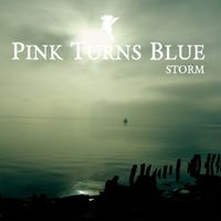 Pink Turns Blue - Storm