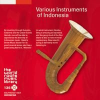 Various Artists - 多彩なインドネシアの楽器 [Various Instruments of Indonesia]