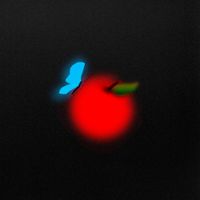 Lightning Bug - No Paradise