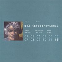 B12 - Electro-Soma