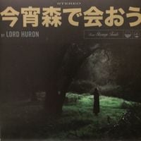 Lord Huron - Meet Me in the Woods