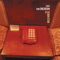 Chris Von Sneidern - The Wild Horse