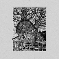 Various Artists - Edition 3