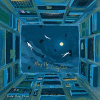 Do&atilde;n Ho&agrave;i Nam - Mộng Mơ v&agrave; L&atilde;ng Qu&ecirc;n