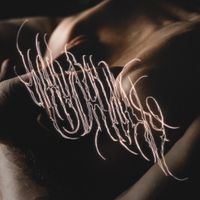 Whyohwhy - Bruises