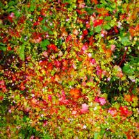 Four Tet - SW9 9SL