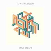 Tangerine Speedo - Citrus Dreams