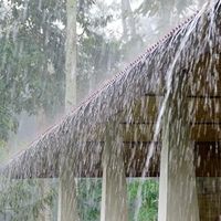 Whu - A drift in the rain