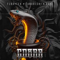 USAO - Cobra