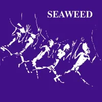 Seaweed - Seaweed