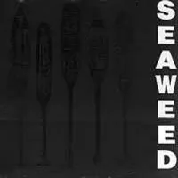 Seaweed - Seaweed