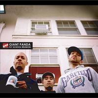 Giant Panda - Fly School Reunion