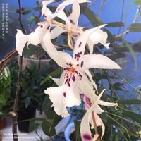 Redoor - My blue wavy room
