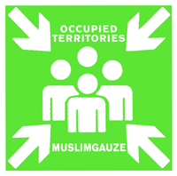 Muslimgauze - Occupied Territories