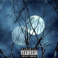 Lil Nigga - X