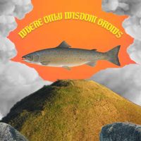 Eoin Dolan - Where Only Wisdom Grows