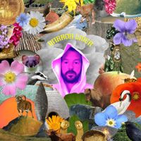 Eoin Dolan - Mirror Liver
