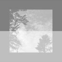 Shittempo - shittempo