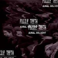 Puzzle Teeth - Aural Solvent