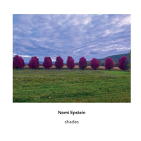 Apartment House / Christian Kesten / Michiko Ogawa / Miako Klein / Joseph Houston - Nomi Epstein: Shades