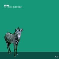 Hum - You'd Prefer an Astronaut