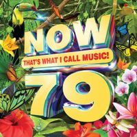 Various Artists - NOW That's What I Call Music! 79