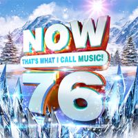 Various Artists - NOW That's What I Call Music! 76