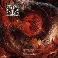 NYN - Entropy: Of Chaos and Salt