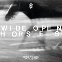 James Vincent McMorrow - Wide open, horses