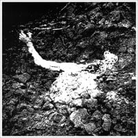 Sinister Feeling - Sinister Feeling