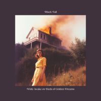 Black Tail - Wide Awake on Beds of Golden Dreams