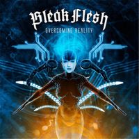 Bleak Flesh - Overcoming Reality