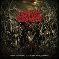 Darkall Slaves - Transcendental State Of Absolute Suffering