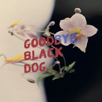 Purrs - Goodbye Black Dog