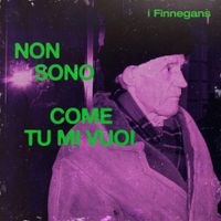 I Finnegans - Non sono come tu mi vuoi