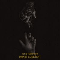 PALESKIN - Joy is Temporary, Pain is Constant