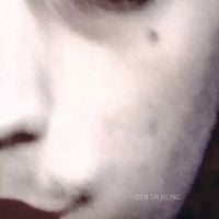 Der T&auml;ubling - Der T&auml;ubling