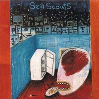 Sea Scouts - Pattern Recognition