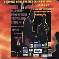 DJ Sound - Volume 8: A Mix for You Niggaz and Bitches