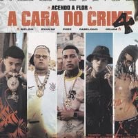 Mc Poze do Rodo - A Cara do Crime 4 (Acendo a Flor)