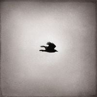 Rama - Fugitivos
