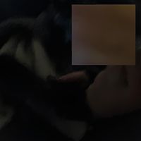 //eco - Feb16_4:38am