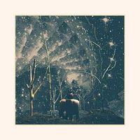 Nick Hakim - Where Will We Go, Pt.1