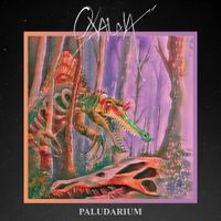 Oxalaia - Paludarium