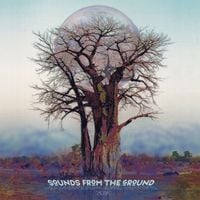 Sounds From The Ground - Kin