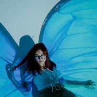 Vioria - метелики