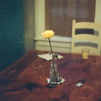 Myra Keyes - Flower In The Brick