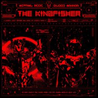 Space Wizard - The Kingfisher