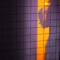 The Caracal Project - Self reflections: